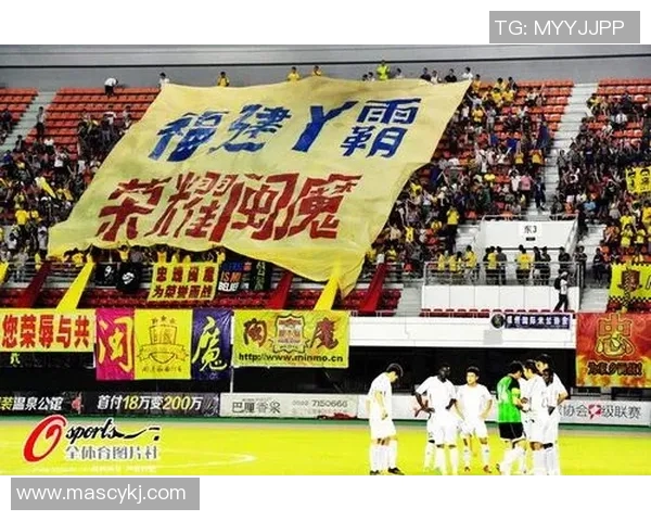 鹤山足球明星赛精彩重播回顾球迷热情再燃激情时刻重现